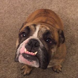 Meet your Posher, Arianna